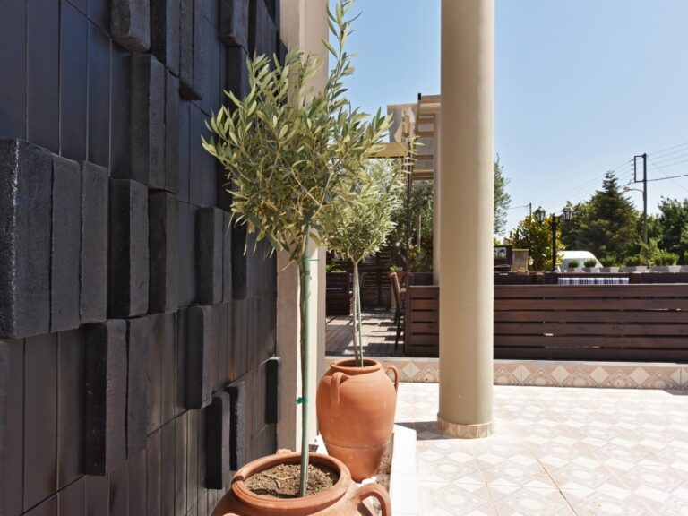 Eleon-Arial-Studio-20