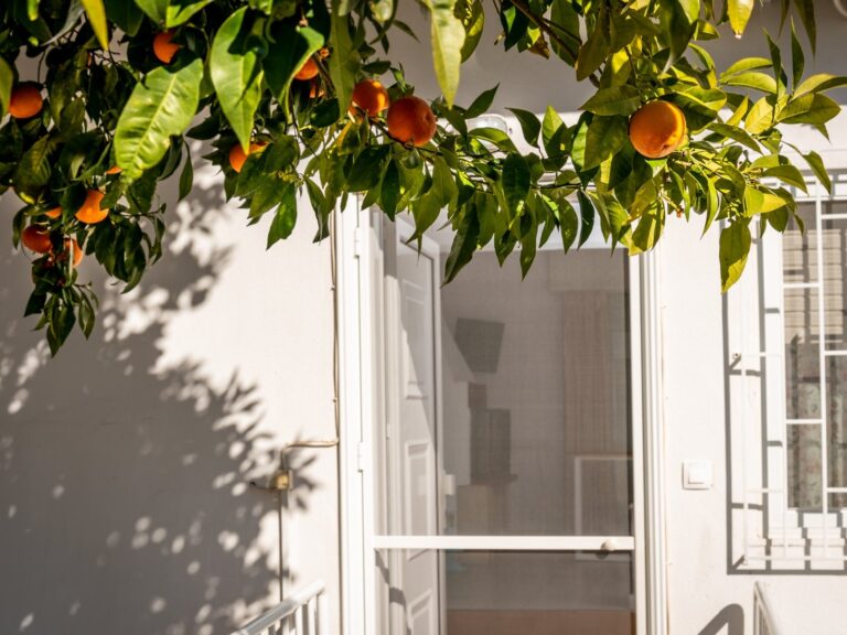 Leisure-Moments-Maisonette-2