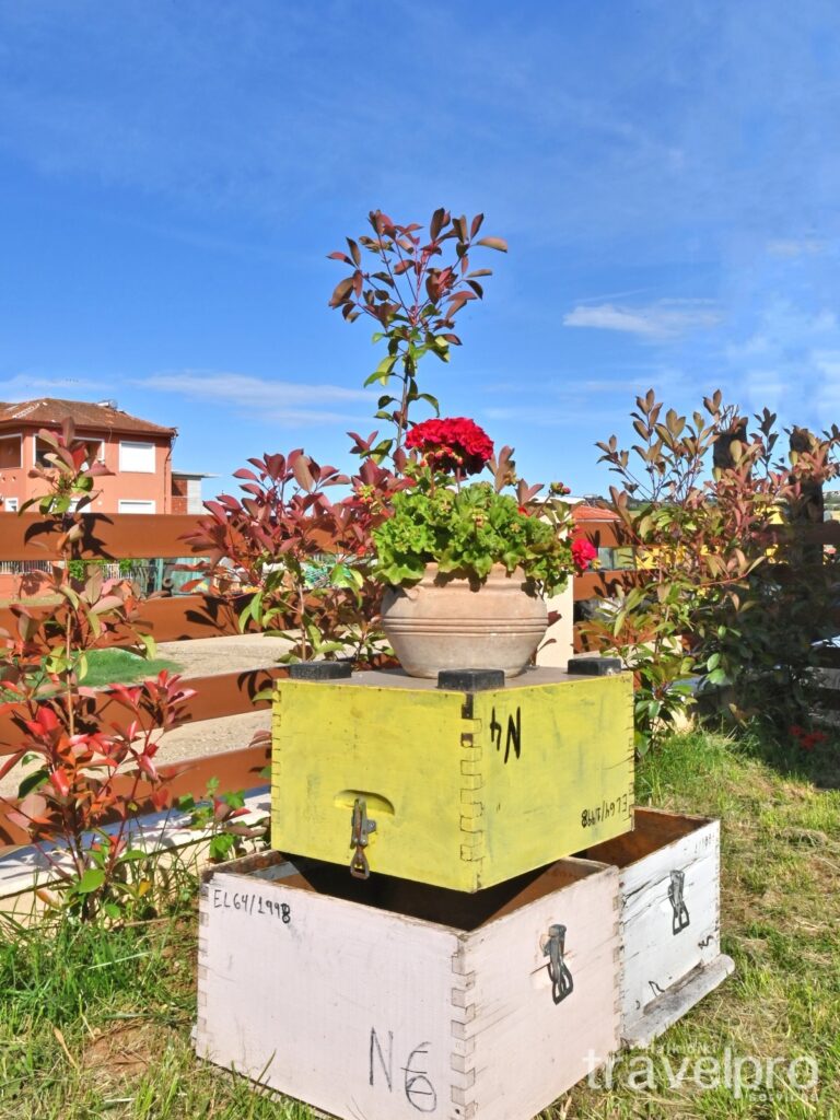 MELOIDA-APARTMENT-20