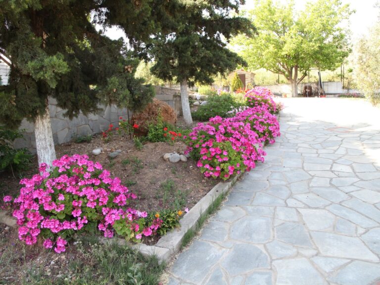 Villa-Maria-Apartment-Ground-Floor-14