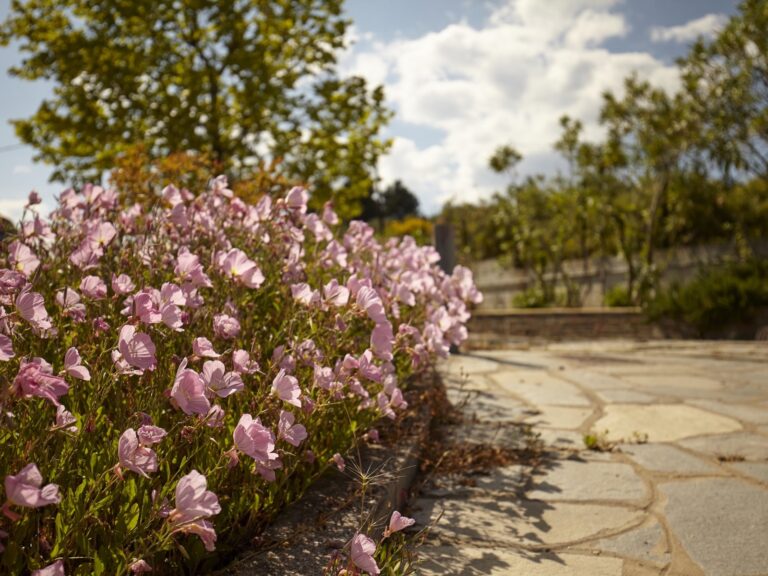 Villa-Maria-Apartment-Ground-Floor-18